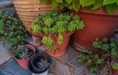 Similar image 22078205