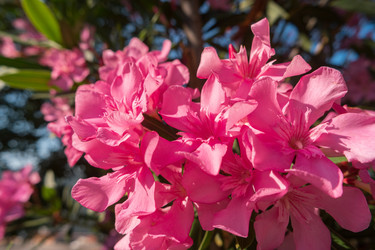 Similar image 22078206