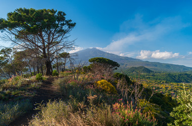 Similar image 22078209