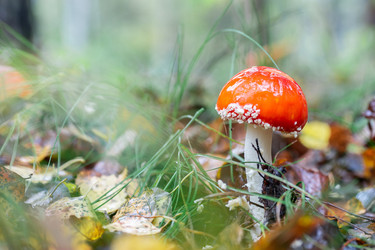 Similar image 22079710