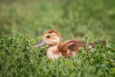 Similar image 22079727