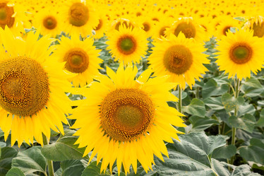 Similar image 22079728