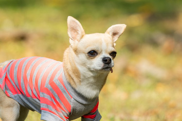 Similar image 22079833