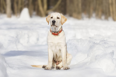 Similar image 22082167