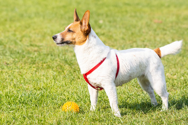 Similar image 22078747