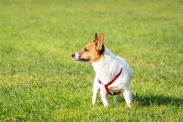 Similar image 22078768