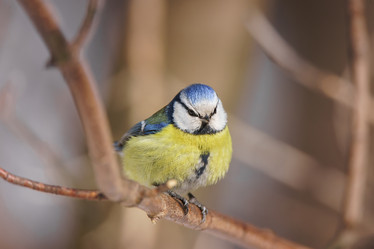 Similar image 22078808