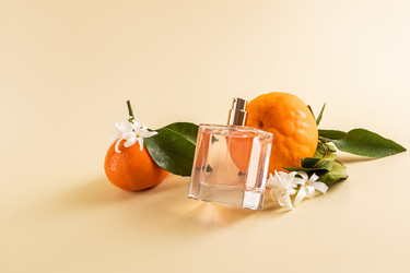 Similar image 22078853