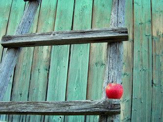 Similar image 22078359