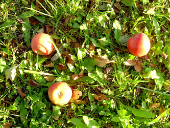 Similar image 22078360