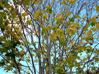 Similar image 22078361