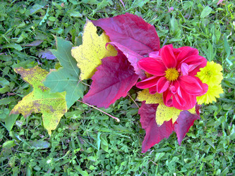 Similar image 22078362