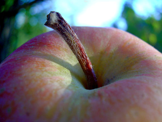 Similar image 22078363