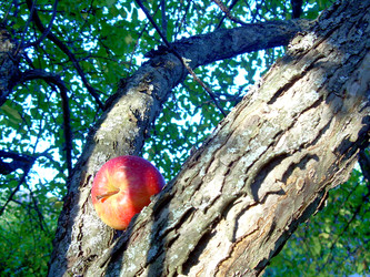 Similar image 22078364