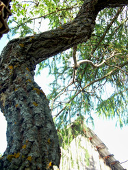 Similar image 22078365