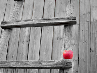 Similar image 22078370