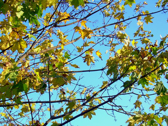 Similar image 22078372