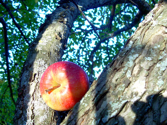 Similar image 22078374