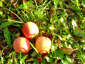 Similar image 22078376