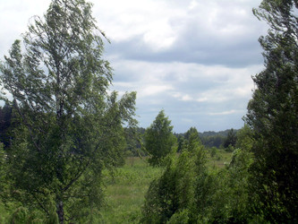 Similar image 22078378