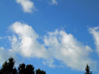 Similar image 22078384