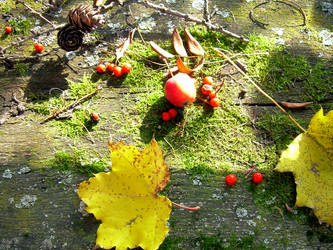 Similar image 22078385