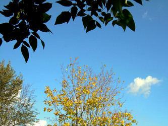 Similar image 22078390