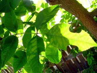 Similar image 22078391