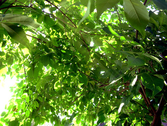 Similar image 22078393