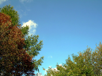 Similar image 22078394