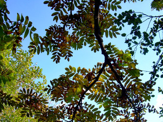 Similar image 22078395