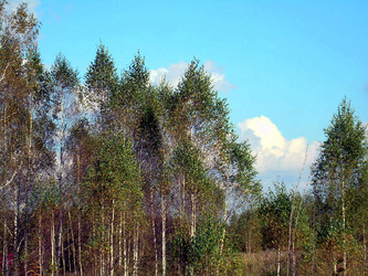 Similar image 22078399