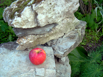 Similar image 22078401