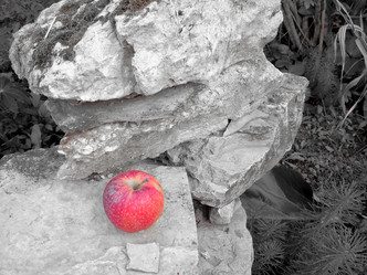 Similar image 22078402