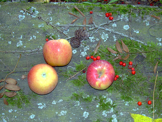 Similar image 22078403