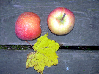 Similar image 22078404