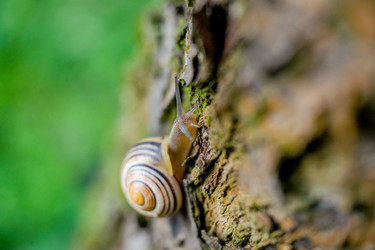 Similar image 22078939