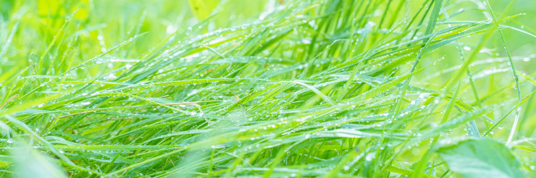 Similar image 22078940