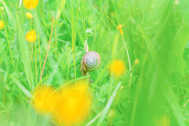 Similar image 22078942