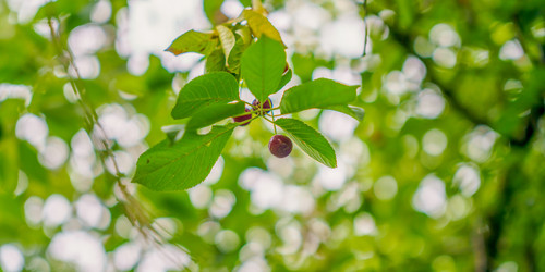 Similar image 22078943