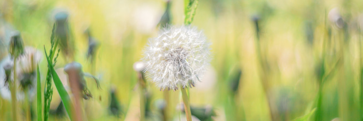 Similar image 22078944