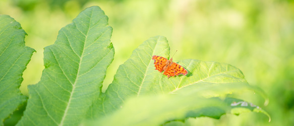 Similar image 22078945