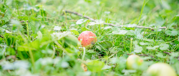 Similar image 22078947