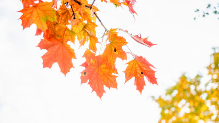 Similar image 22078950