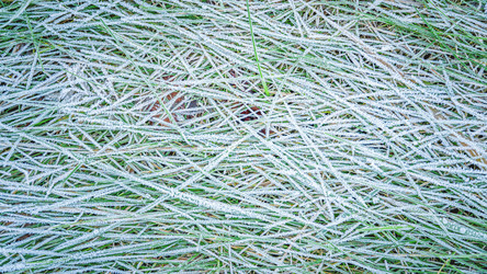 Similar image 22078952