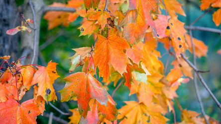 Similar image 22078953