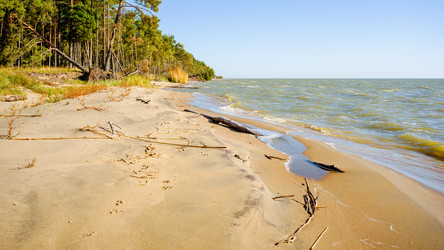 Similar image 22078954