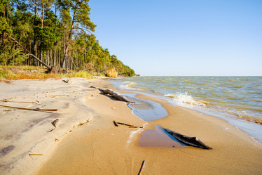 Similar image 22078955