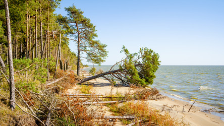 Similar image 22078956