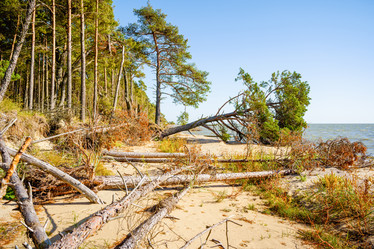 Similar image 22078957